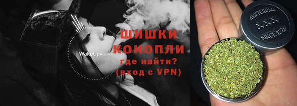 гашик Надым