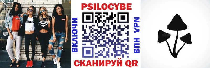 Псилоцибиновые грибы Cubensis  продажа наркотиков  Новокубанск 