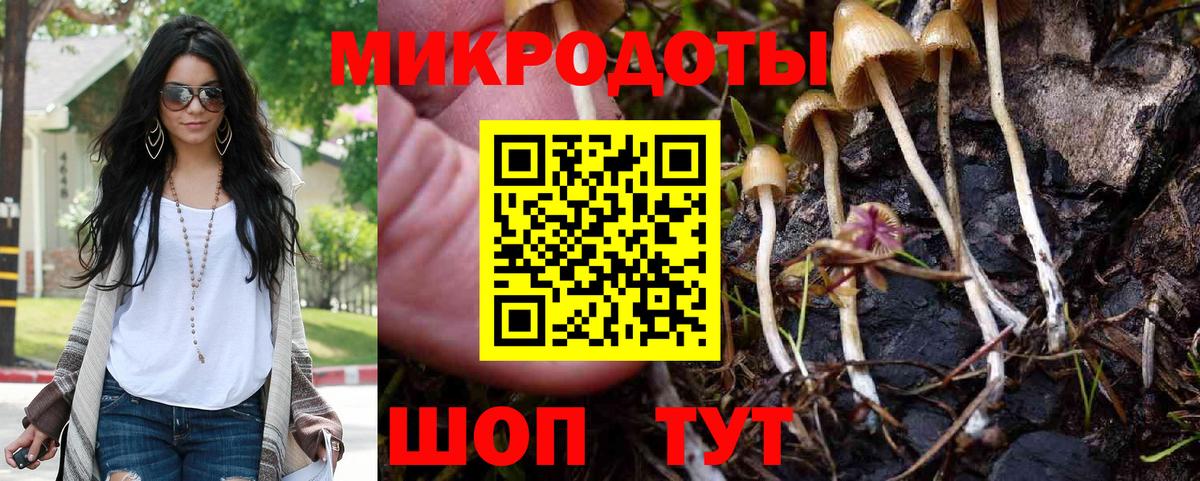 Галлюциногенные грибы мухоморы Новокубанск