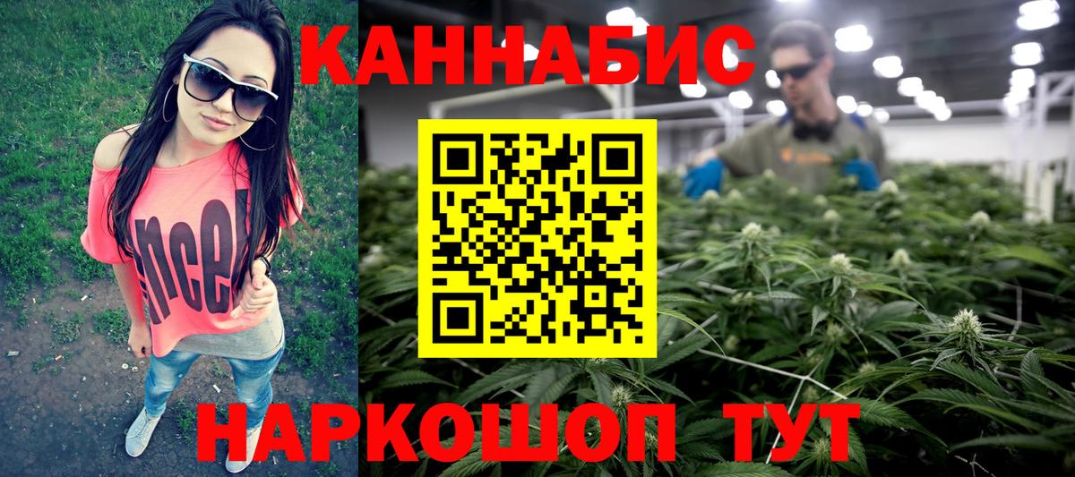 Канабис конопля Новокубанск